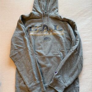 Champion Gray Hoodie